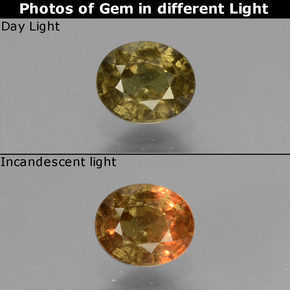 Grenat à changement de couleur jaune naturelle coupe ovale, 0,66 ct, VS