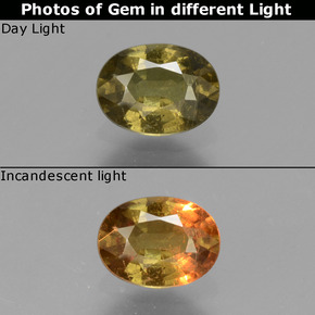 Grenat à changement de couleur multicolore naturelle coupe ovale, 0,73 ct, VS