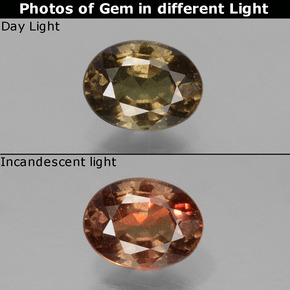 Grenat à changement de couleur marron naturelle coupe ovale, 0,89 ct, VS
