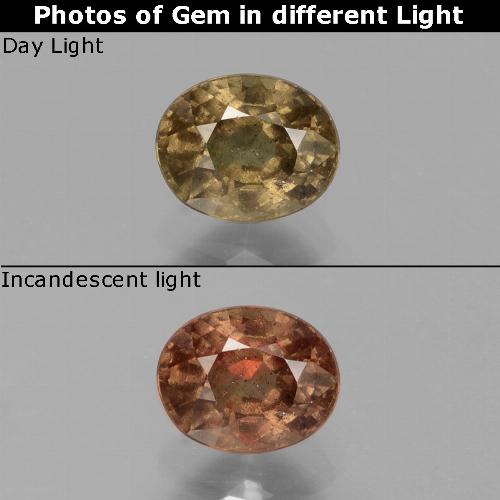 Grenat à changement de couleur marron naturelle coupe ovale, 0,81 ct, VS