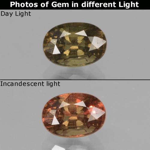 Grenat à changement de couleur marron naturelle coupe ovale, 0,96 ct, VS-SI