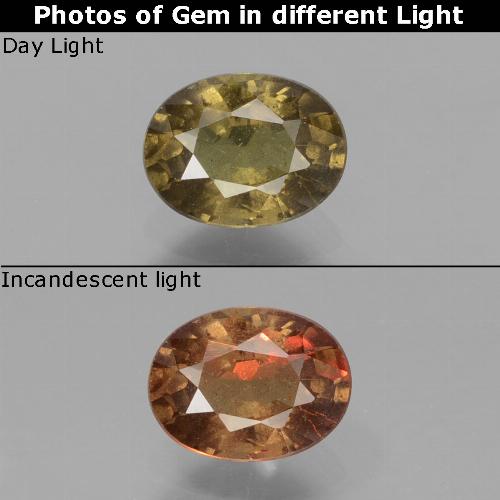 Grenat à changement de couleur marron naturelle coupe ovale, 0,85 ct, VS