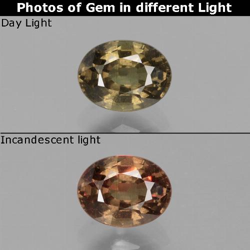 Grenat à changement de couleur marron naturelle coupe ovale, 0,74 ct, VS
