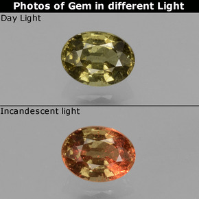 Grenat Couleur Changeant Brun doré vert naturelle Coupe ovale, 0.50 ct, VS