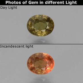 Grenat Couleur Changeant Brun moyen-foncé naturelle Coupe ovale, 0.55 ct, VS