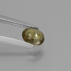 Grenat Couleur Changeant Brun moyen-foncé naturelle Coupe ovale, 0.55 ct, VS