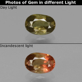 Grenat à changement de couleur de couleur changeante naturelle coupe ovale, 0,62 ct, VS