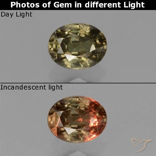 Grenat à changement de couleur marron naturelle coupe ovale, 0,87 ct, VS
