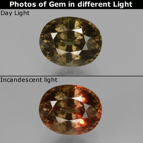 Grenat à changement de couleur multicolore naturelle coupe ovale, 1,73 ct, VS-SI