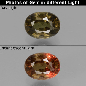 Grenat à changement de couleur de couleur changeante naturelle coupe ovale, 1,13 ct, VS-SI