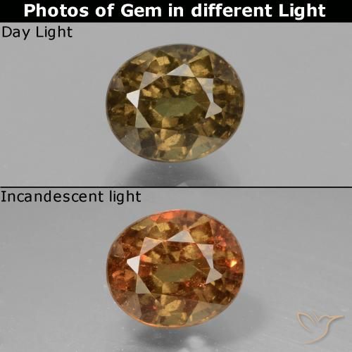 1.55ct Naturel Marron foncé Grenat Couleur Changeant, ovale, VS-SI