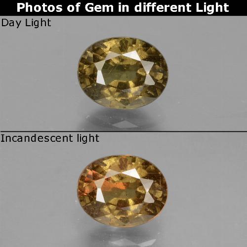 Grenat Couleur Changeant Brun moyen-foncé naturelle Coupe ovale, 1.05 ct, VS-SI