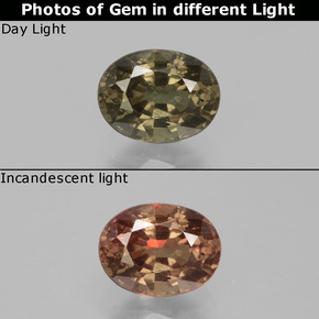 Grenat Couleur Changeant Marron foncé naturelle Coupe ovale, 0.98 ct, VS