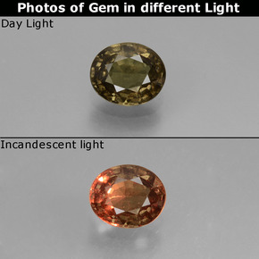 Grenat à changement de couleur de couleur changeante naturelle coupe ovale, 0,60 ct, VS