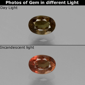 Grenat Couleur Changeant Vert à Rouge-Rose naturelle Coupe ovale, 0.74 ct, VS