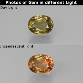 Grenat à changement de couleur de couleur changeante naturelle coupe ovale, 0,59 ct, VS