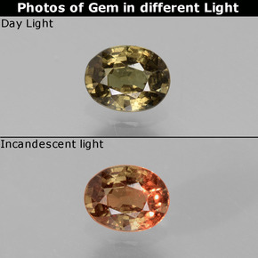 Grenat à changement de couleur marron naturelle coupe ovale, 0,77 ct, VS