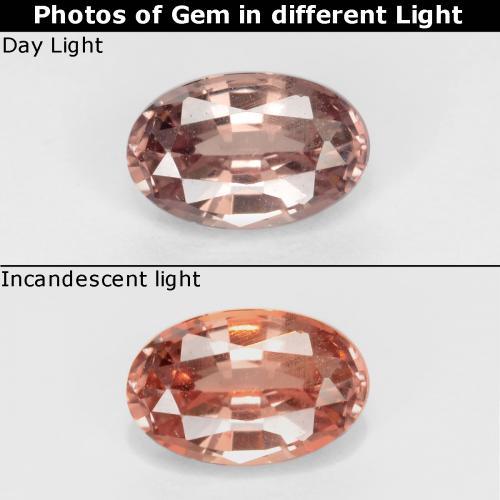 Grenat Couleur Changeant Brun léger moyen naturelle Coupe ovale, 0.60 ct, VS