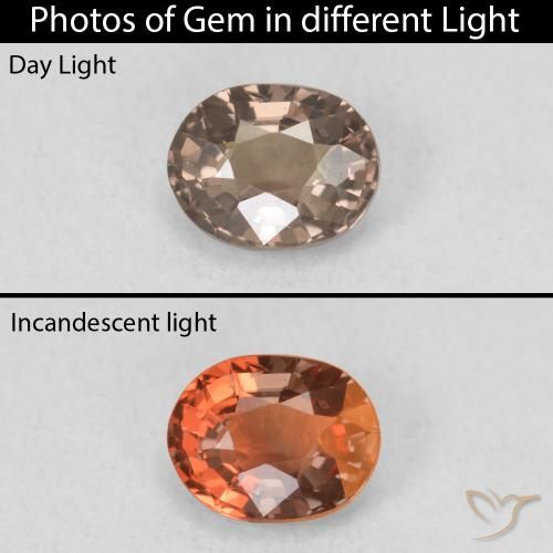 0.79ct Naturel Brun léger moyen Grenat Couleur Changeant, ovale, VVS-VS