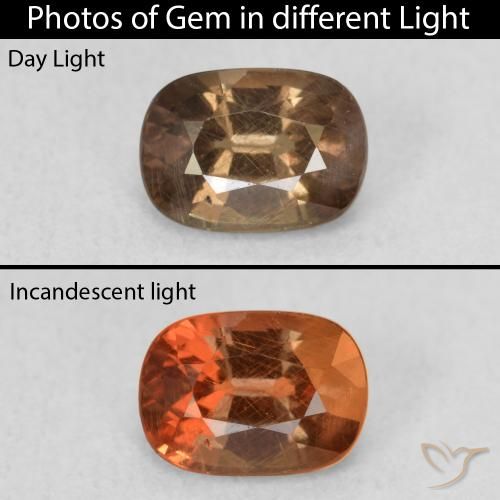 1.08ct Naturel Marron foncé Grenat Couleur Changeant, ovale, VS