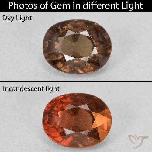 Grenat Couleur Changeant Marron foncé naturelle ovale, 1.89 ct, VS
