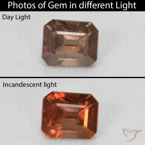 Grenat Couleur Changeant Brun léger moyen naturelle Octogone / coupe Émeraude, 0.97 ct, VS