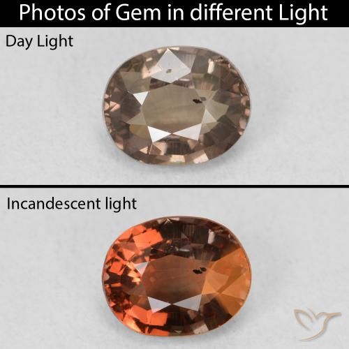 Grenat Couleur Changeant Brun léger moyen naturelle ovale, 1.23 ct, VS