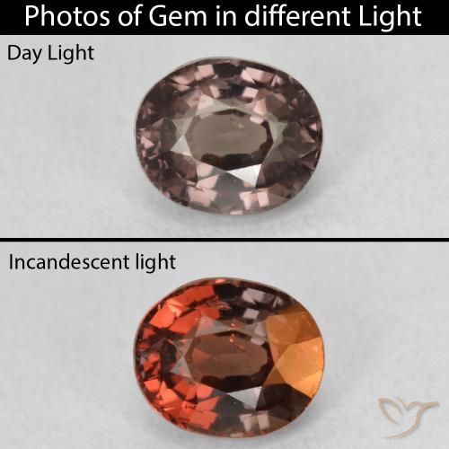 1.36ct Naturel Marron foncé Grenat Couleur Changeant, ovale, VS