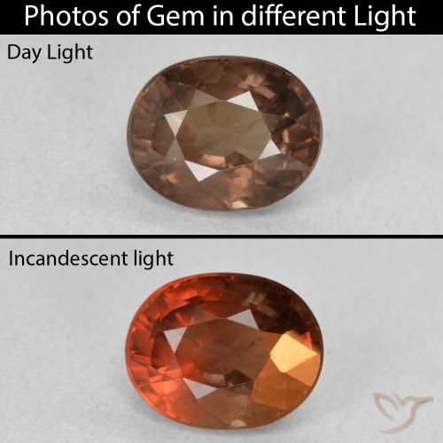 Grenat Couleur Changeant Marron foncé naturelle ovale, 1.57 ct, VS
