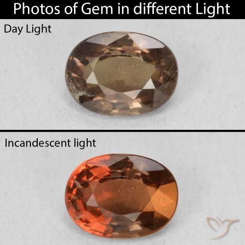 1.16ct Naturel Marron foncé Grenat Couleur Changeant, ovale, VS