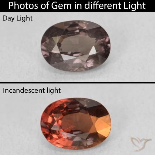 1.06ct Naturel Marron foncé Grenat Couleur Changeant, ovale, VS