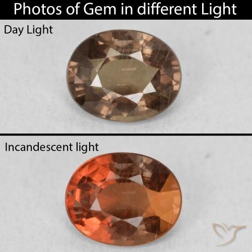 1.01ct Naturel Marron foncé Grenat Couleur Changeant, ovale, VS