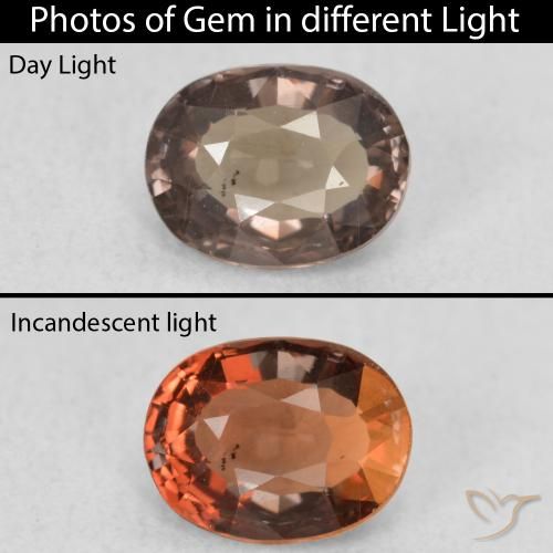 0.94ct Naturel Marron foncé Grenat Couleur Changeant, ovale, VS
