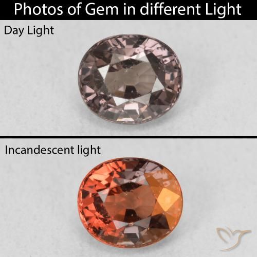 1.00ct Naturel Marron foncé Grenat Couleur Changeant, ovale, VS