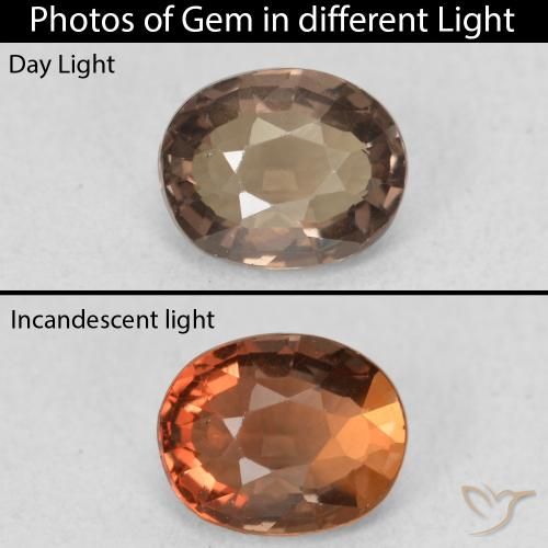 1.03ct Naturel Brun moyen Grenat Couleur Changeant, ovale, VVS