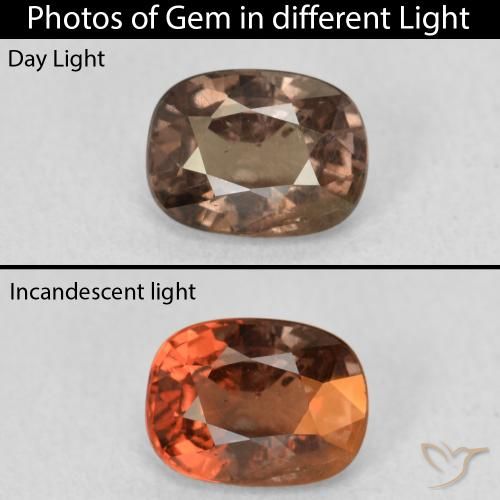 1.21ct Naturel Marron chaud Grenat Couleur Changeant, Coussin, VS