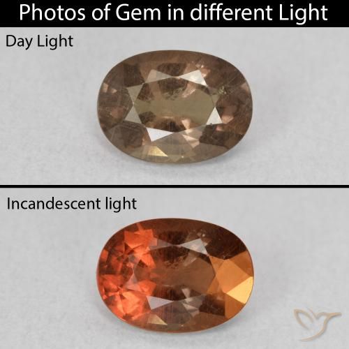 0.93ct Naturel Brun léger moyen Grenat Couleur Changeant, ovale, VS