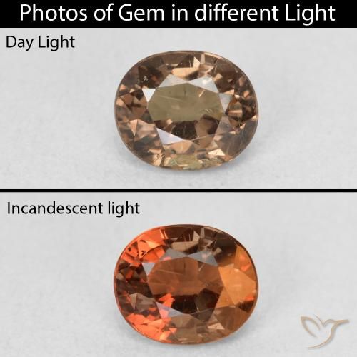 Grenat Couleur Changeant Marron foncé naturelle ovale, 0.94 ct, VS