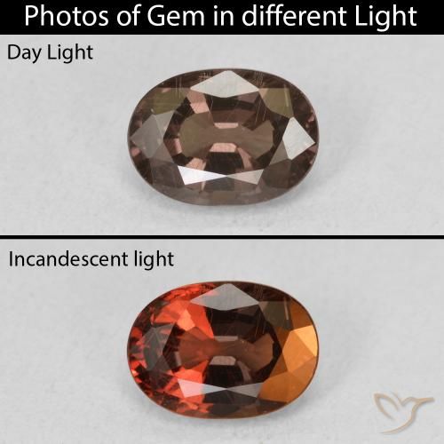 1.34ct Naturel Marron foncé Grenat Couleur Changeant, ovale, VS