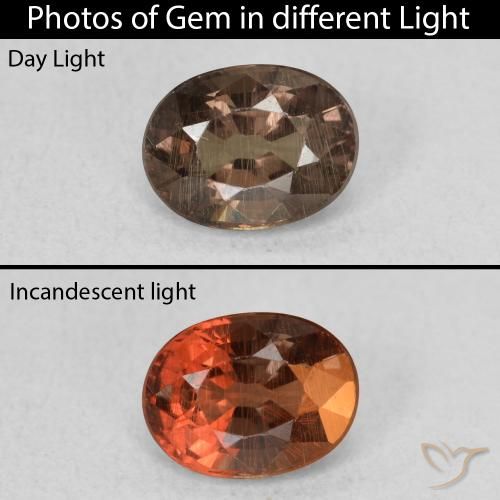 Grenat Couleur Changeant Marron foncé naturelle ovale, 0.97 ct, VS