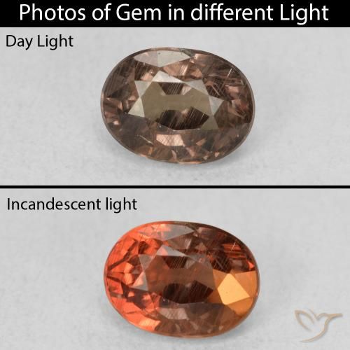 0.96ct Naturel Marron foncé Grenat Couleur Changeant, ovale, VS