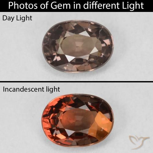 1.19ct Naturel Marron foncé Grenat Couleur Changeant, ovale, VVS-VS