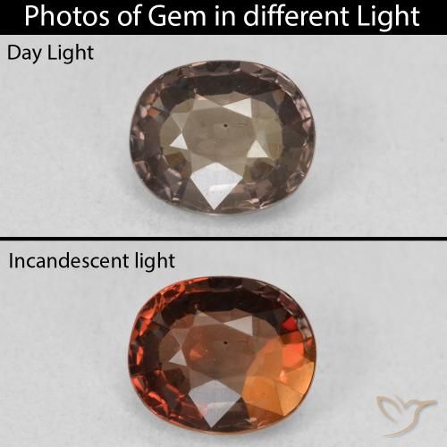 1.30ct Naturel Marron foncé Grenat Couleur Changeant, ovale, VVS-VS