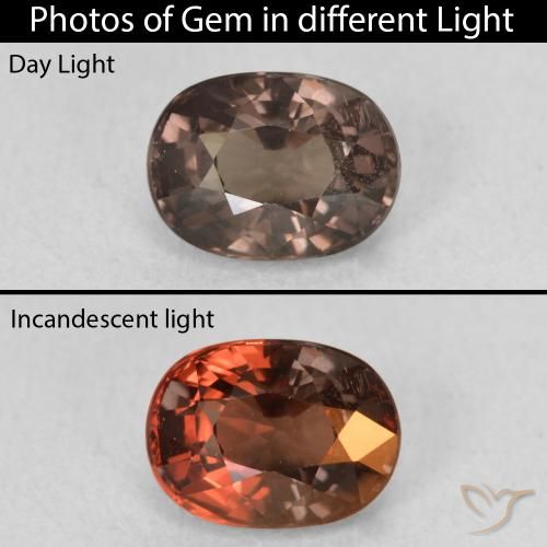 1.47ct Naturel Marron foncé Grenat Couleur Changeant, ovale, VVS-VS