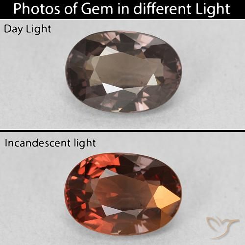 1.50ct Naturel Marron foncé Grenat Couleur Changeant, ovale, VVS-VS