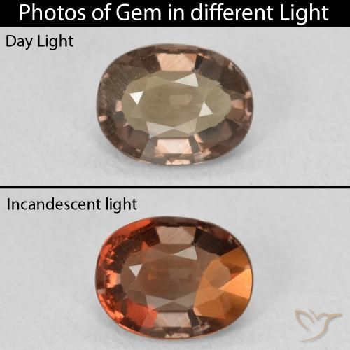 Grenat Couleur Changeant Marron foncé naturelle ovale, 1.32 ct, VVS-VS