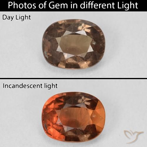 1.50ct Naturel Marron foncé Grenat Couleur Changeant, Coussin, VS