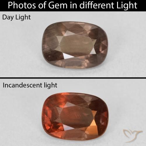 1.50ct Naturel Marron foncé Grenat Couleur Changeant, Coussin, VS