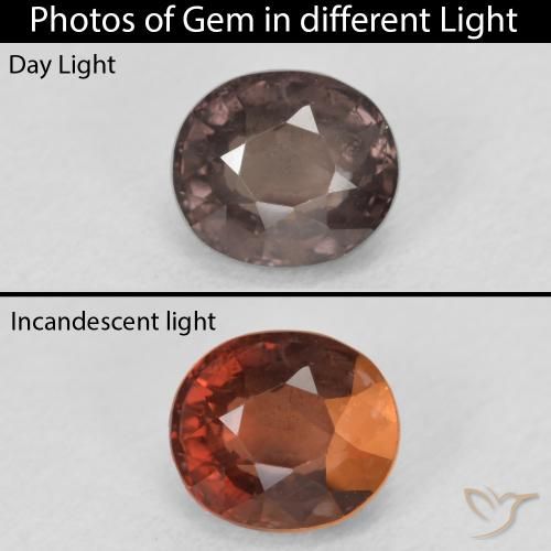Grenat Couleur Changeant Brun léger moyen naturelle ovale, 1.50 ct, VS