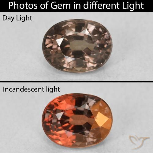 0.98ct Naturel Marron foncé Grenat Couleur Changeant, ovale, VVS
